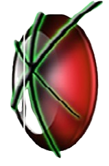 Kishoo Enterprises Logo